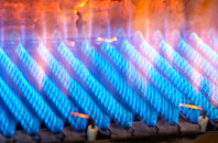 Bolney gas fired boilers